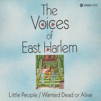 voices of east harlem soul gospel 7 inch vinyl