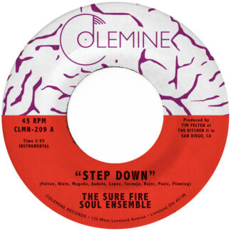 the soul fire soul ensemble - step down - funk vinyl 7"