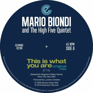 mario biondi - this is what you are