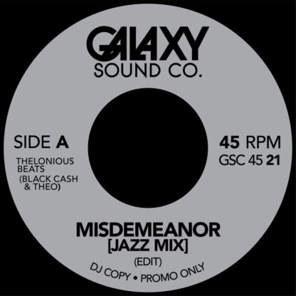 thelonious beats - misdemeanor