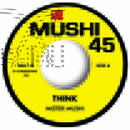 mister mushi