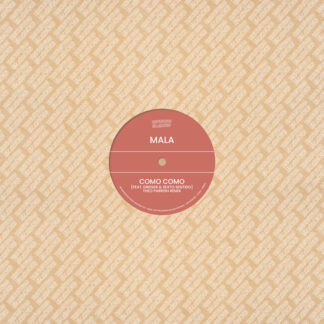 mala - theo parrish remix