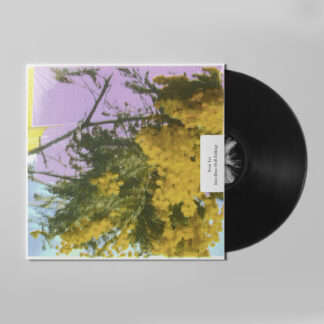 four tet info dust