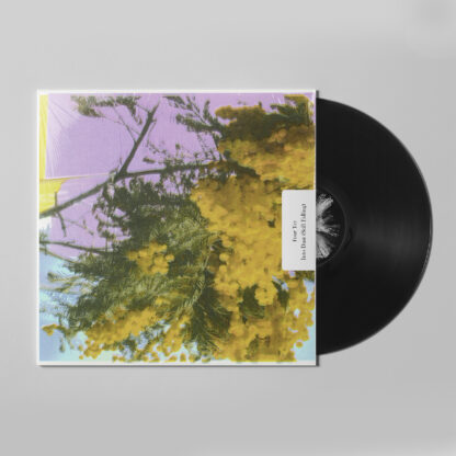 four tet info dust