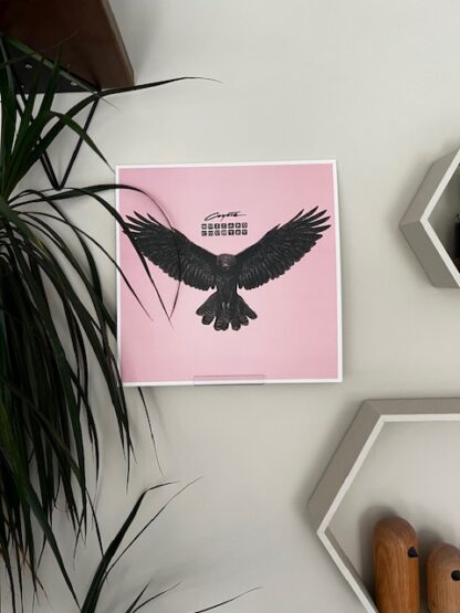 Clear Perspex Record Wall Bracket - Image 2