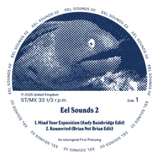 Various - Eel Sounds Vol 2 (Eel Sounds)12"