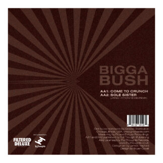 James Hayford & BiggaBush/SPLIT EP