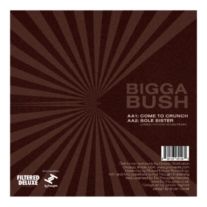James Hayford & BiggaBush/SPLIT EP