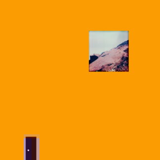 Barone & Robohands - R.F.I. Jack (Bastard Jazz Recordings) 12"