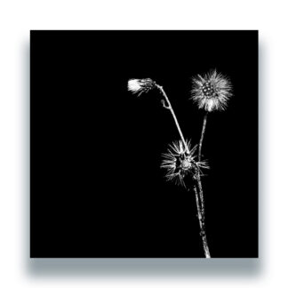 Jon Dasilva and Skyskrapa Feat. Donald Waugh Sun Brings Joy Hottwerk Records