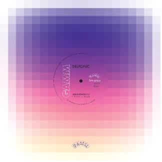 Delfonic - Berlin Reworks 3 (G.A.M.M)12" PRE-ORDER