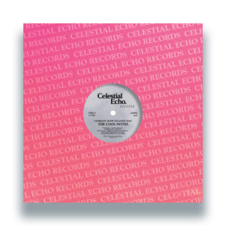 The Cool-Notes - I Forgot How To Love You (Celestial Echo) 12" PRE-SALE