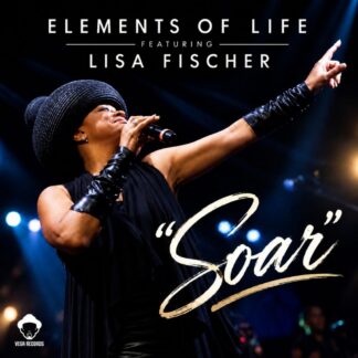 Elements Of Life Featuring Lisa Fischer - Soar (Vega Records) 12" PRE-ORDER